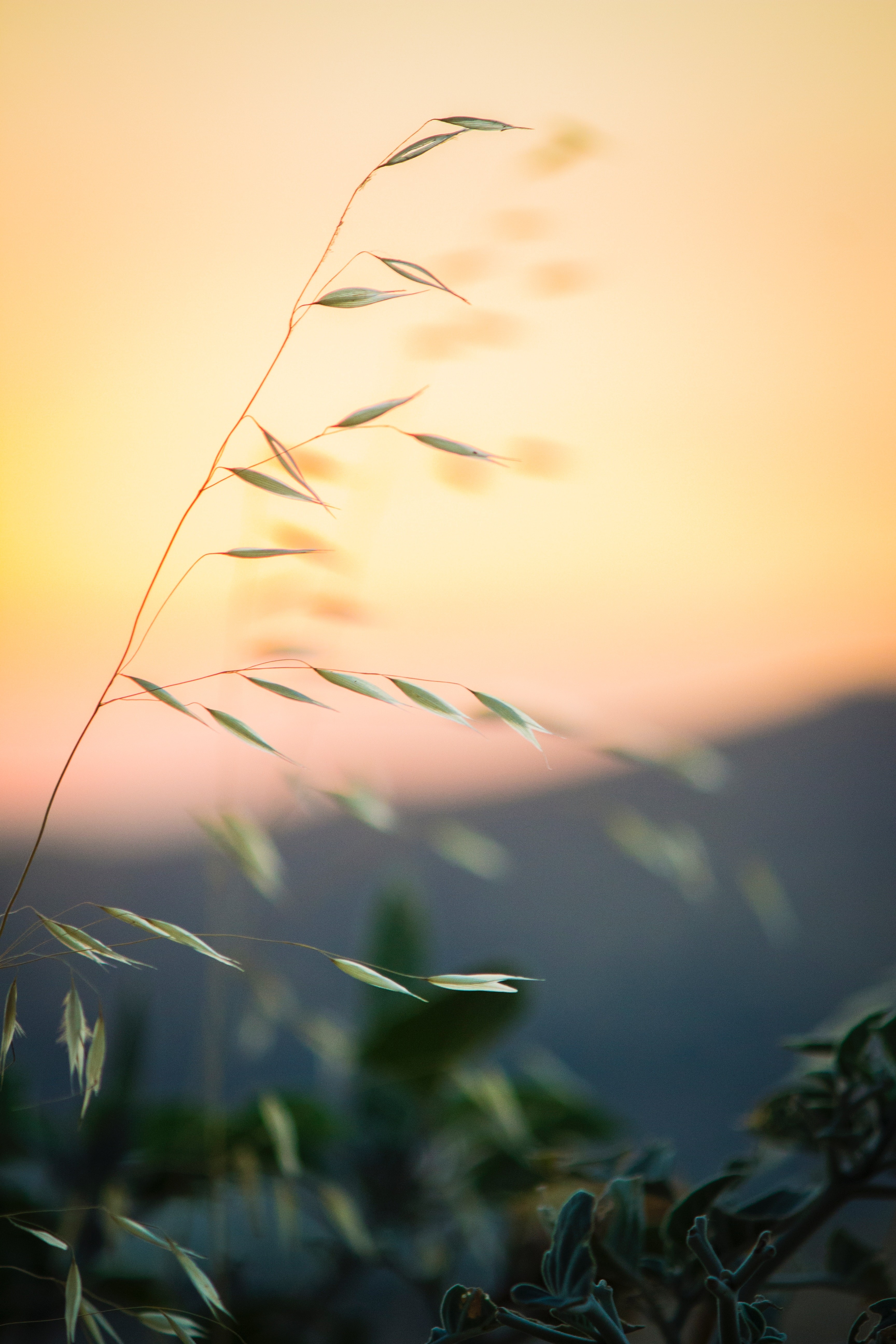 Toamna din lăuntru – poezie sufletească
