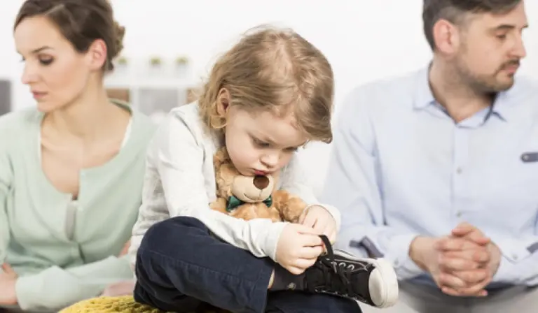Expertiza psihologică a  copilului și familiei aflate în divorț | mar 2026